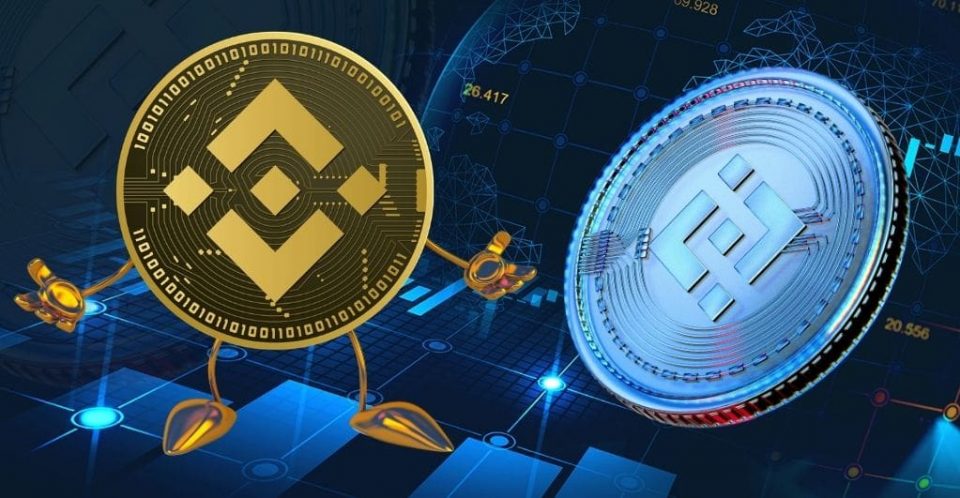 Binance Coin Is It a Worthy Investment Option